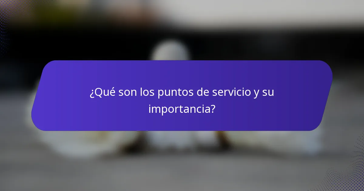 ¿Qué son los puntos de servicio y su importancia?